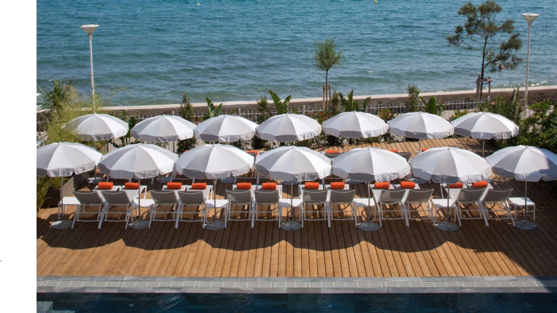 Cruise Club - 6 mois